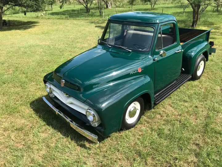 1955 Ford F100